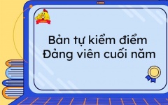 Bản kiểm điểm đảng viên