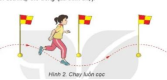 Kế hoạch bài dạy Giáo dục thể chất 6 (học kỳ 2)